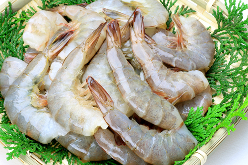 Shrimp - Head-On X-Jumbo, Piazza Seafood, Wholesale Seafood Distributors